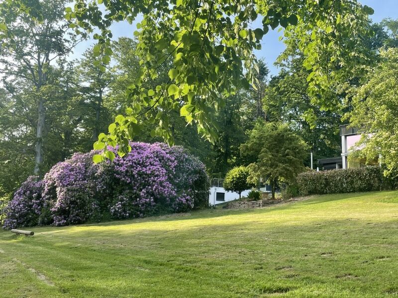blühender Rhododendron und Seminargebäude im Hintergrund