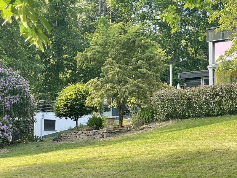 Weißdorn vor Seminarkomplex