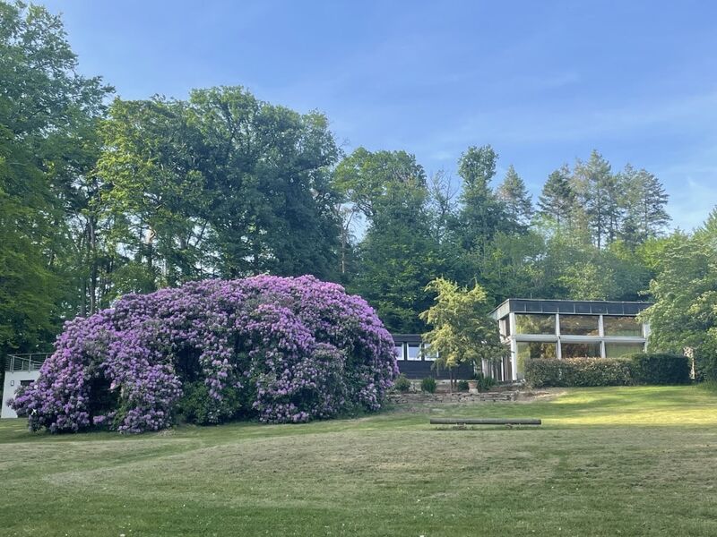 Rhododendron und Seminarkomplex aus Richtung Süden