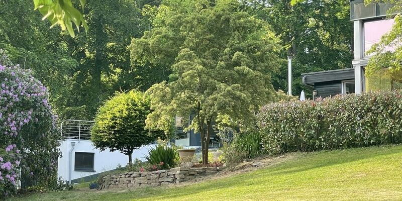 Weißdorn vor Seminarkomplex